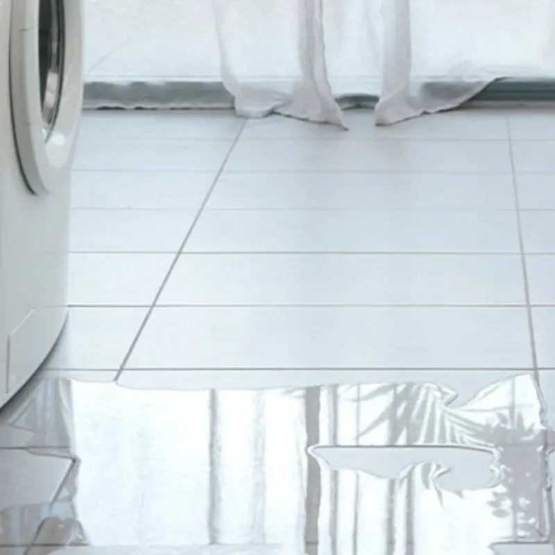 Appliance Leak Cleanup in Lake City, GA